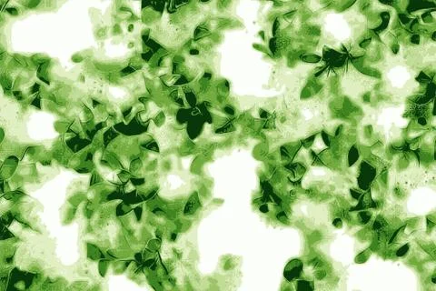 Texture of green mint leaf or leaves for a fresh background Stock Photos