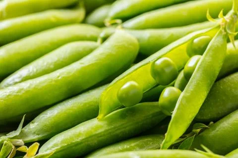 Texture of green peas pods Stock Photos
