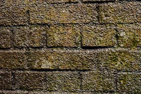 The texture of a greenish color on the surface of a brickwork that has been Stock Photos