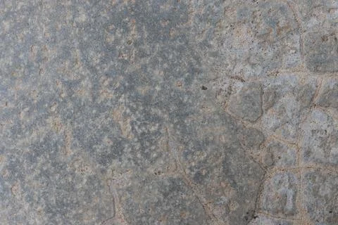 Texture of grey concrete wall for background. Stock Photos