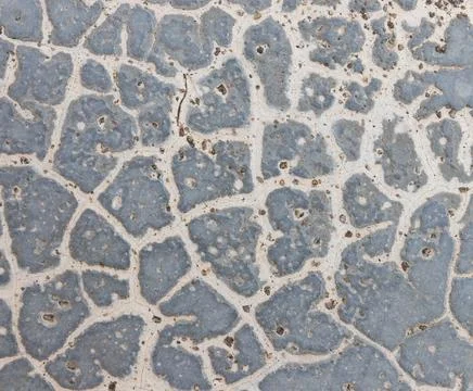 Texture of grey concrete wall for background. Stock Photos