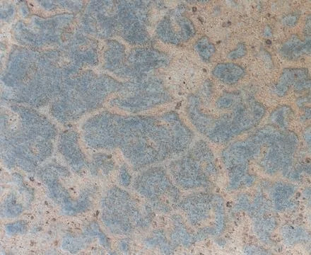 Texture of grey concrete wall for background. Stock Photos