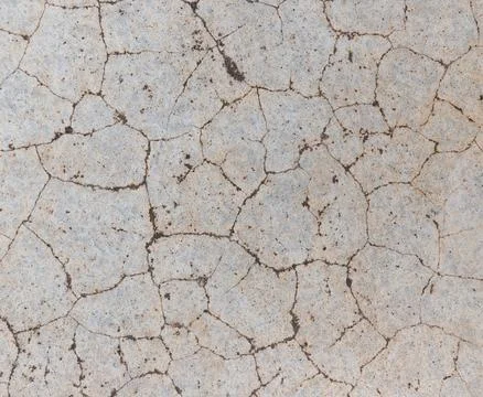 Texture of grey concrete wall for background. Stock Photos