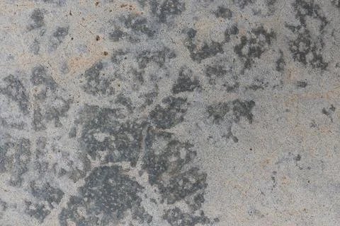 Texture of grey concrete wall for background. Stock Photos