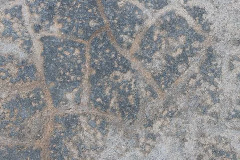 Texture of grey concrete wall for background. Stock Photos