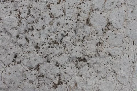 Texture of grey concrete wall for background. Stock Photos