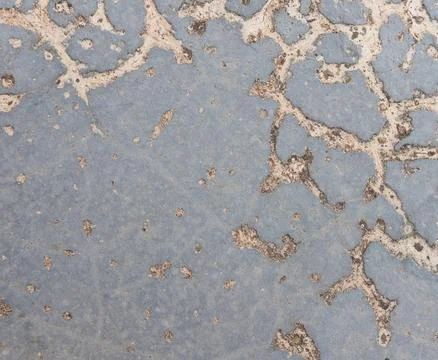 Texture of grey concrete wall for background. Stock Photos
