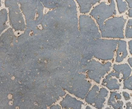 Texture of grey concrete wall for background. Stock Photos
