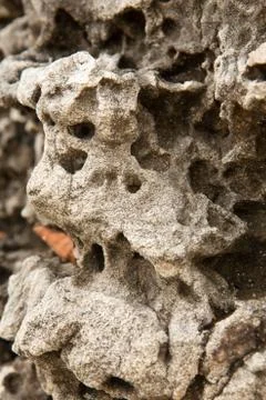 Texture of grey stone,a large boulder Stock Photos