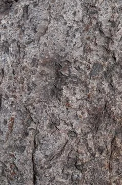 Texture of grey stone Stock Photos