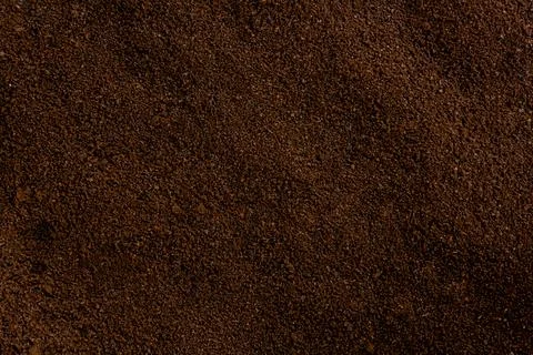 Texture of ground coffee beans. Full frame. Stock Photos