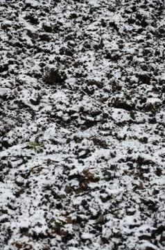 The texture of the ground, covered with a thin layer of snow. The soil of the Stock Photos