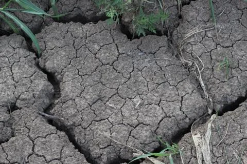 Texture with ground Stock Photos