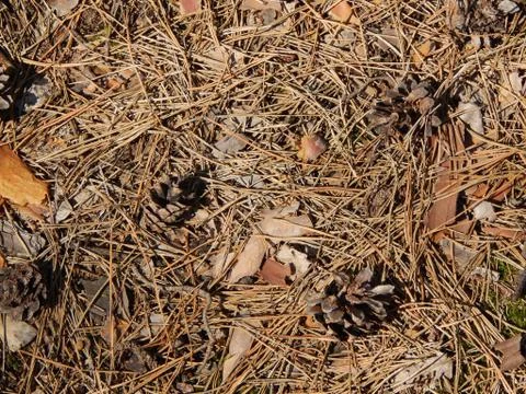 The texture of the ground Stock Photos