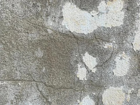 Texture of grouted gray building concrete surface. The background Fotos de archivo