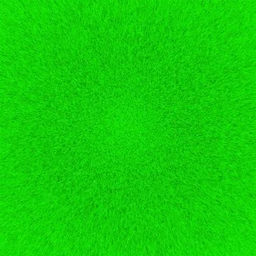 Texture of hair Stock Illustration