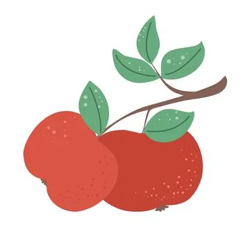 Texture hand drawn apples clip art Illustrazione stock
