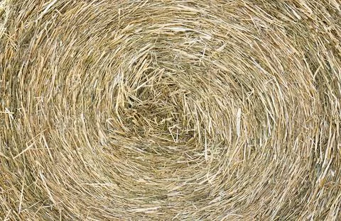 Texture of hay stack, closeup background Stock Photos
