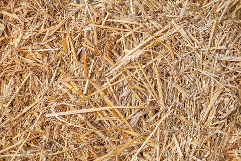 Texture of hay, straw Stock Photos