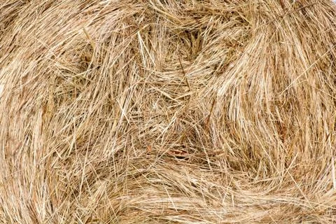 Texture of the haystack Stock Photos