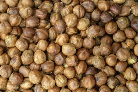 The texture of the hazelnuts Stock Photos
