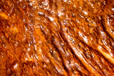 The texture of the horns of an elk. Stock Photos