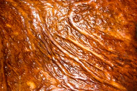 The texture of the horns of an elk. Stock Photos