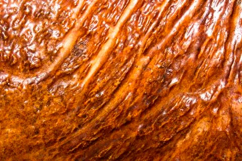 The texture of the horns of an elk. Stock Photos