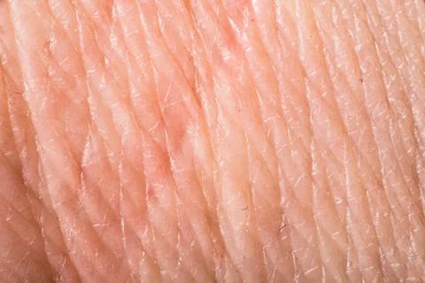 Texture of human skin Stock Photos