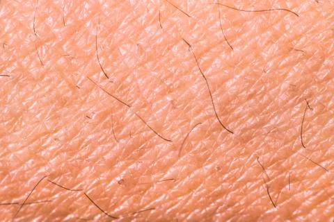 Texture of human skin Foto stock