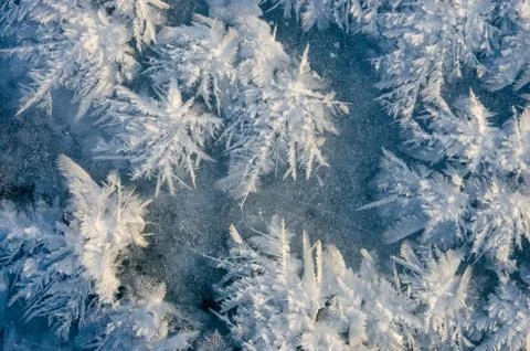 Texture of ice on blue background Stock Photos