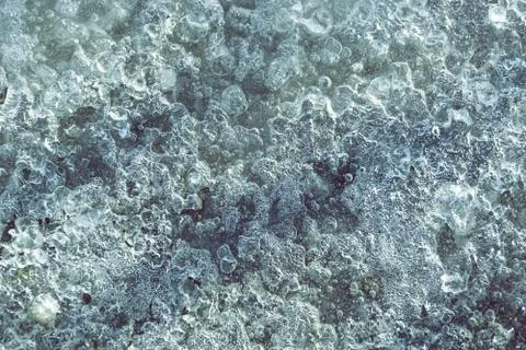 Texture ice 스톡 사진