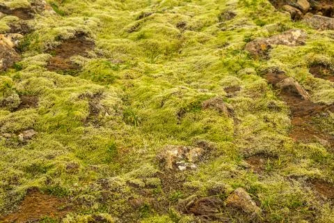 Texture of Icelandic mountains Stock Photos