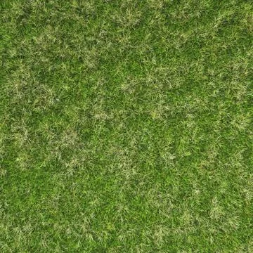 Texture Illustrazione stock