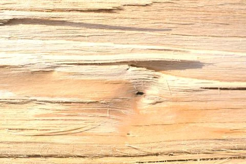 The texture of the inside of a tree cut in half. Closeup Foto stock