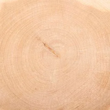 The texture of juniper wood in the section.Juniper tree background. Stock Photos