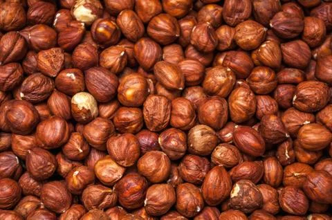 Texture of the kernel of the hazelnut Stock Photos