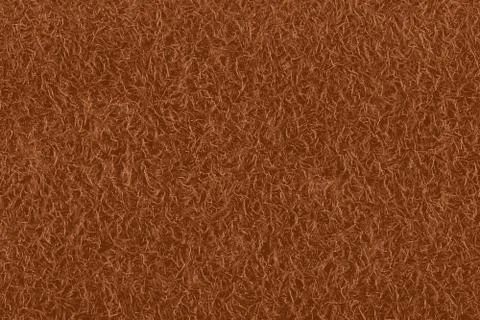 Texture of kiwi fruit peel with view of the hair Stock Photos