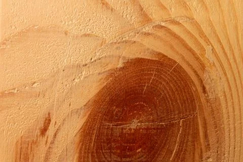 Texture knot cut of spruce board Stock Photos