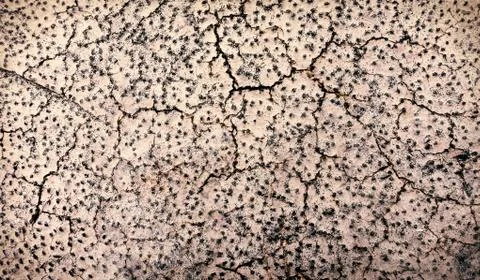 Texture of land dried up by drought, the ground cracks background with grunge Stock-Fotos