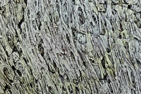 Texture of a lava Stock Photos