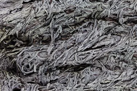 Texture of a lava Stock Photos