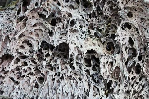 Texture of a lava Stock Photos