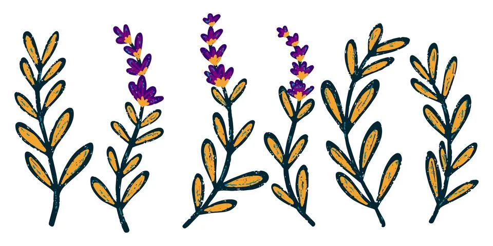 Texture lavender branches drawn by hand. Vector set, clipart, bundle Stock Illustration