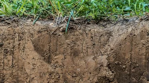 Texture layers of earth. Cross section of green grass and underground soil la Stock Photos