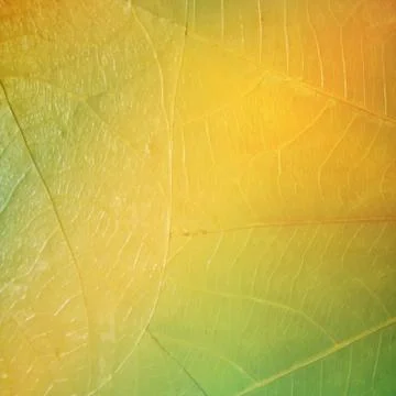 Texture of a leaf as background. background with abstract gradient 스톡 일러스트