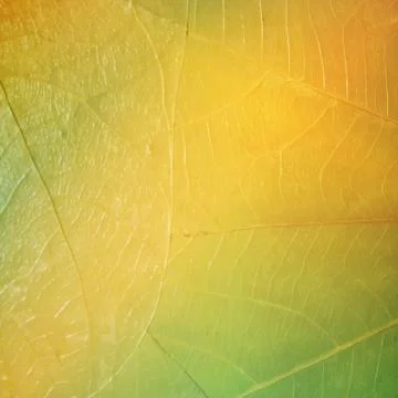 Texture of a leaf as background. Vector background with abstract gradient Illustrazione stock