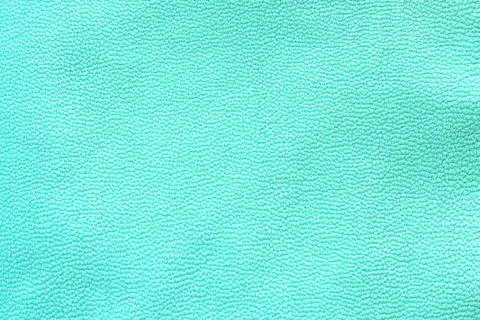 .texture leather jacket mint color. Stock Photos