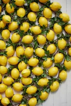 The texture of the lemons.Panels of artificial lemons on the wall. Lemons in Stock Photos