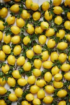 The texture of the lemons.Panels of artificial lemons on the wall. Lemons in Stock Photos